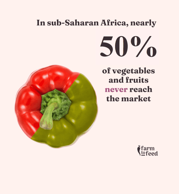 Farm to feed Graphic